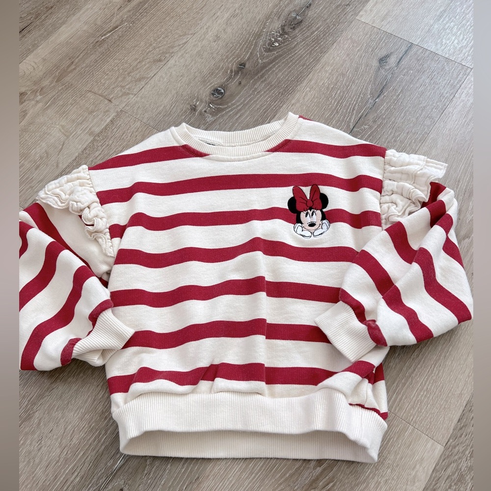 Zara Disney Sweatshirt